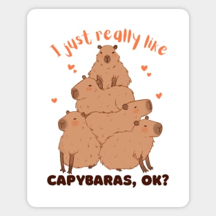 I just really like capybaras OK Magnet
